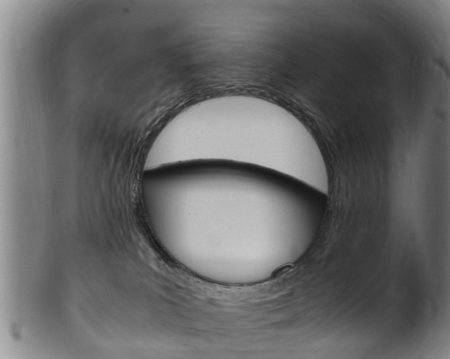 X0000102520039200808081040