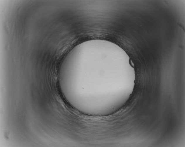 X0000102520040200808081040