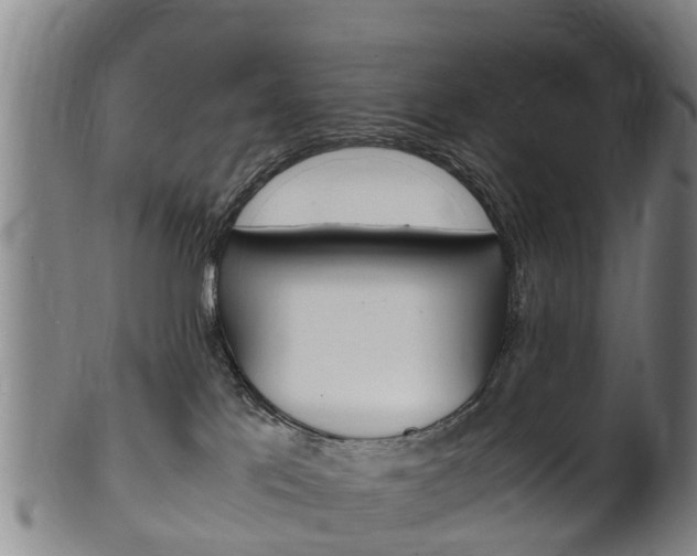 X0000102520041200808081040