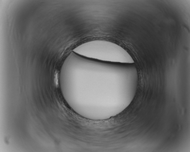 X0000102520042200808081040