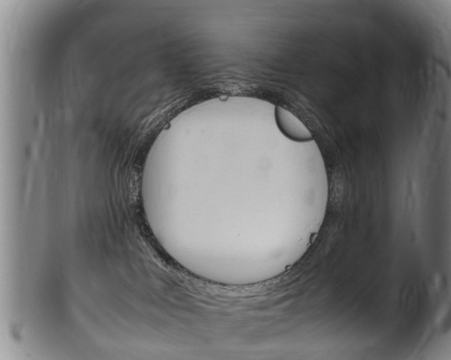 X0000102520043200808081040