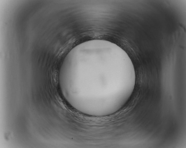 X0000102520044200808081040