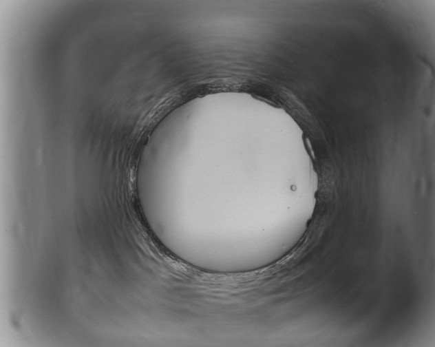 X0000102520045200808081040