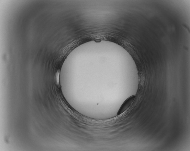 X0000102520047200808081040