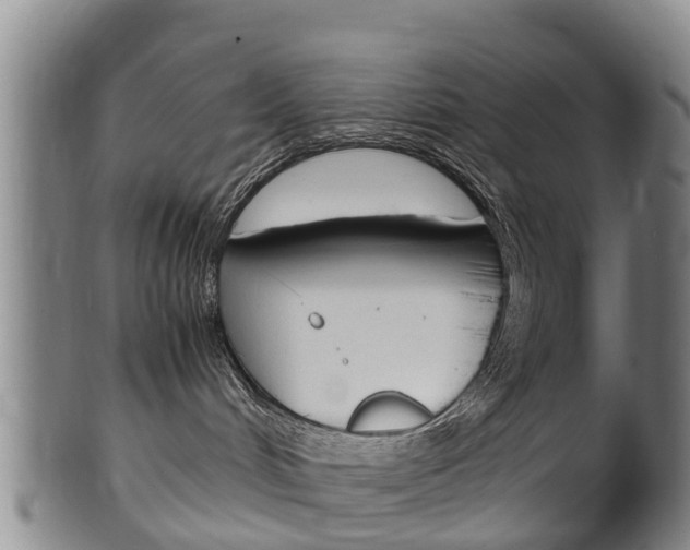 X0000102520048200808081040