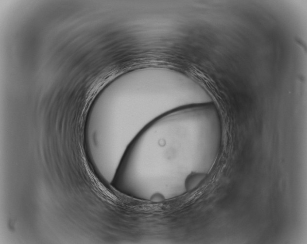 X0000102520049200808081039