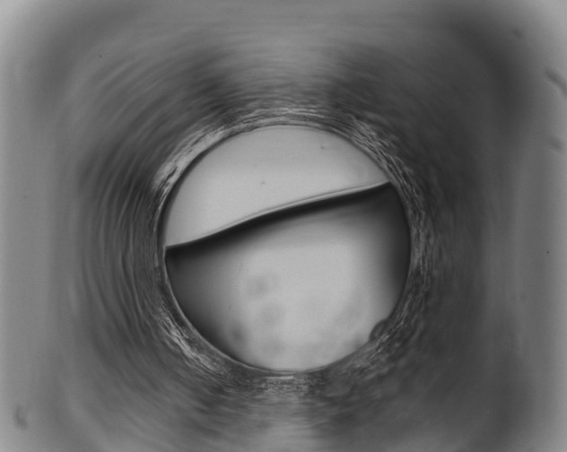 X0000102520050200808081039