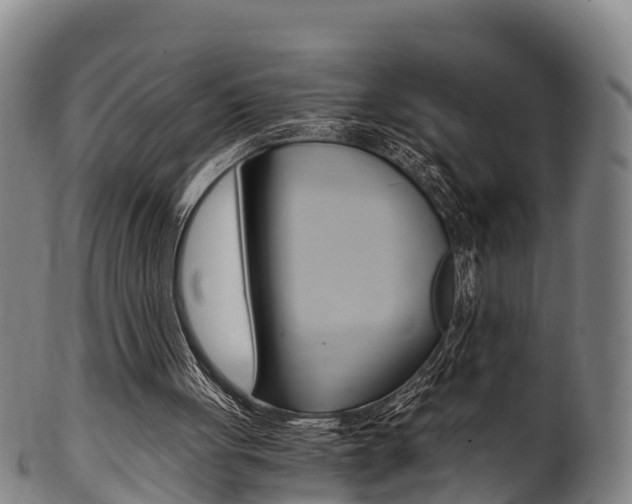 X0000102520051200808081039