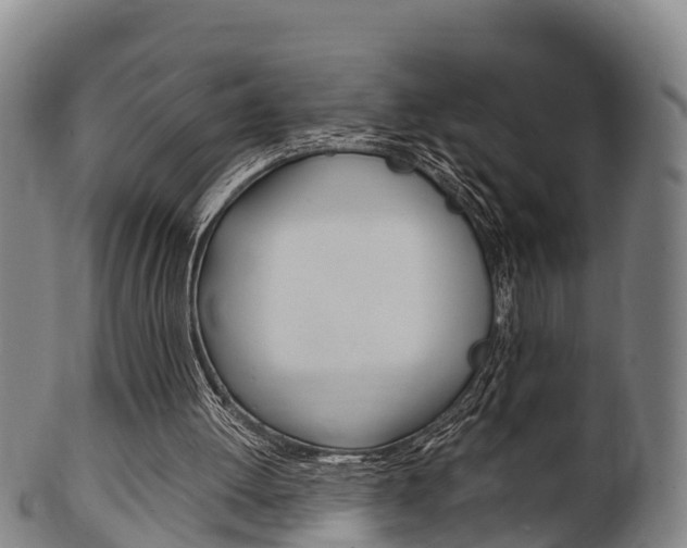 X0000102520052200808081039