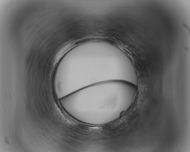 X0000102520053200808081039