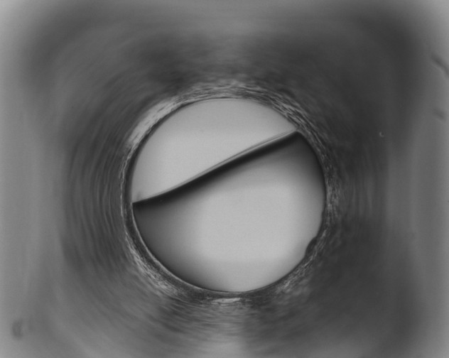 X0000102520054200808081039