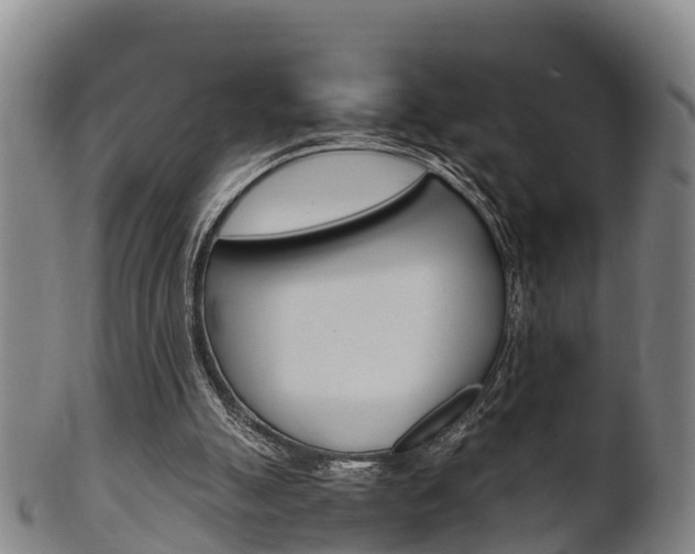 X0000102520055200808081039