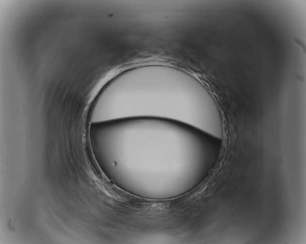 X0000102520056200808081039