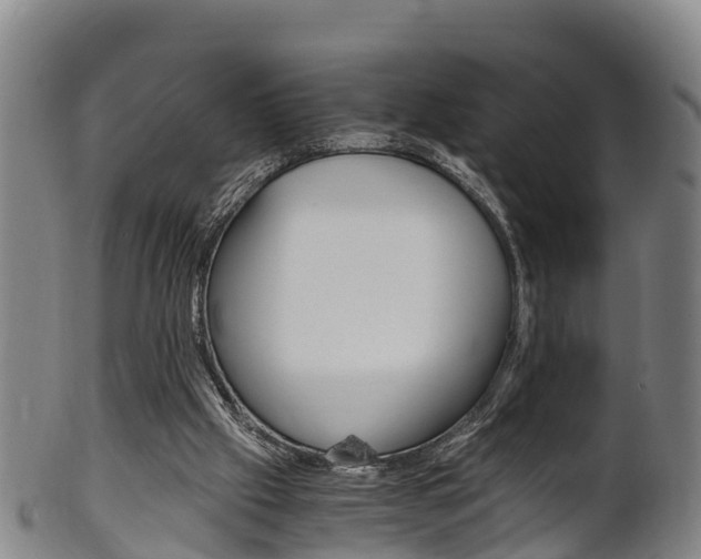 X0000102520057200808081039