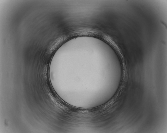 X0000102520058200808081039