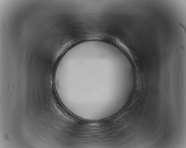 X0000102520059200808081039