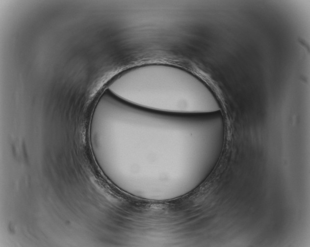 X0000102520060200808081039