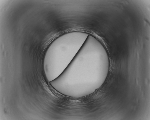 X0000102520061200808081039