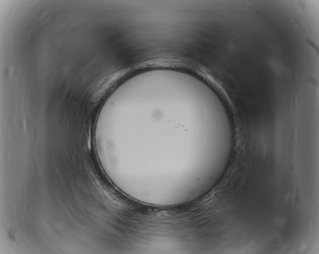 X0000102520062200808081039