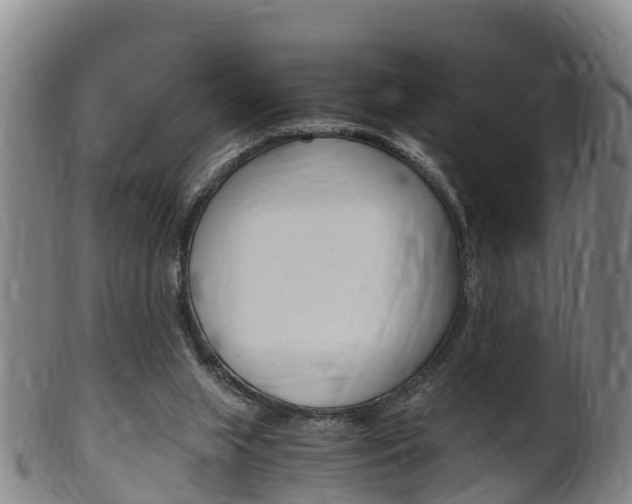 X0000102520063200808081039