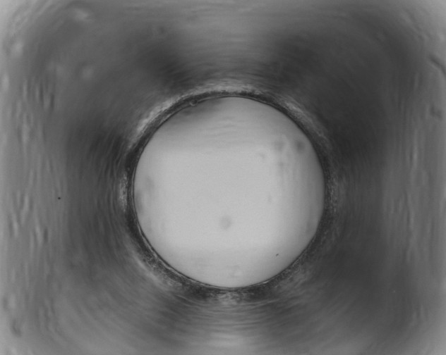 X0000102520064200808081039