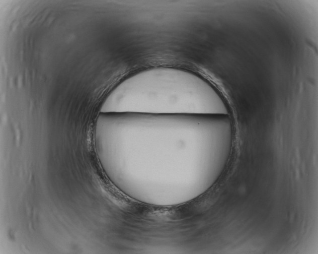 X0000102520065200808081039