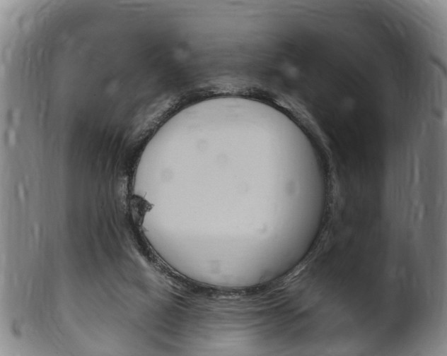 X0000102520066200808081039