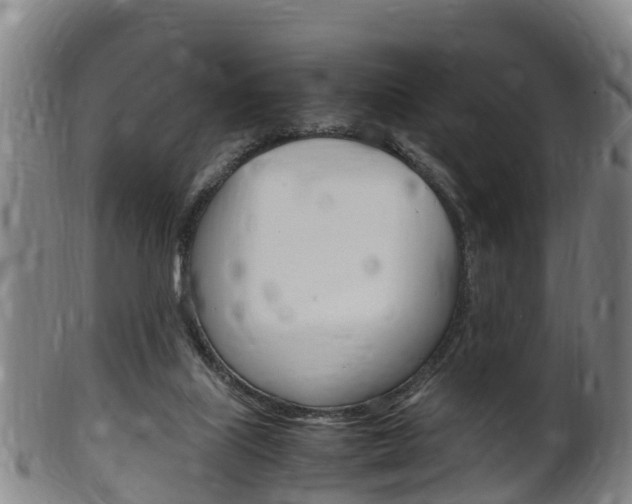 X0000102520067200808081039