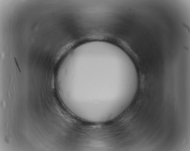 X0000102520068200808081039