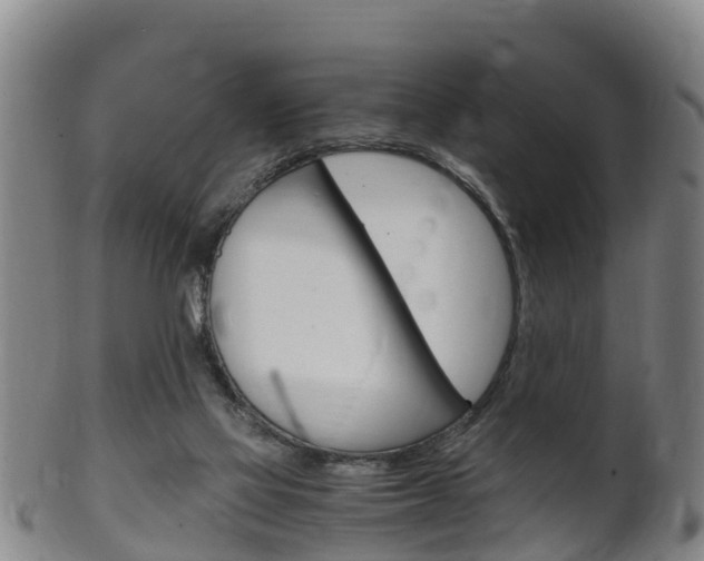 X0000102520069200808081039