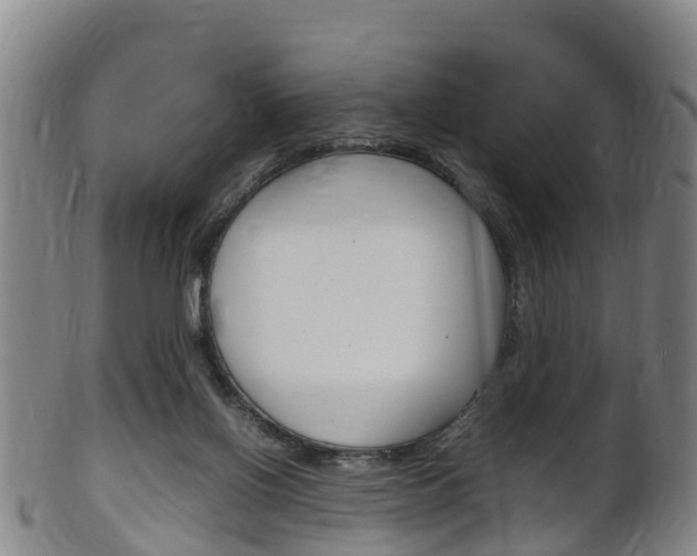 X0000102520070200808081039