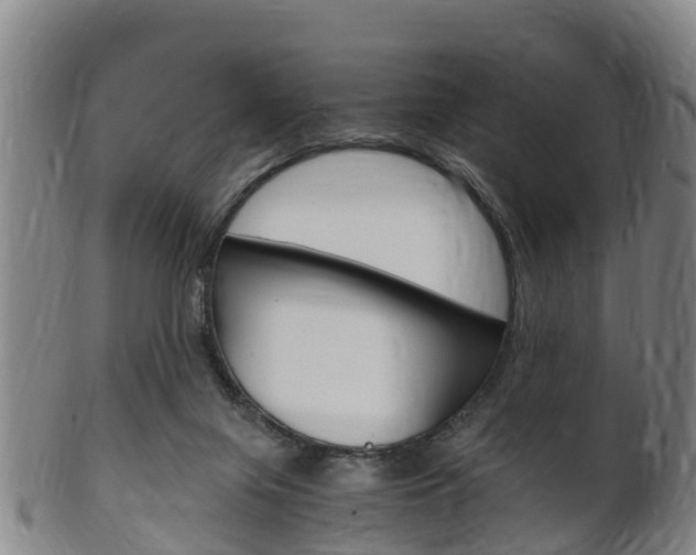 X0000102520071200808081039