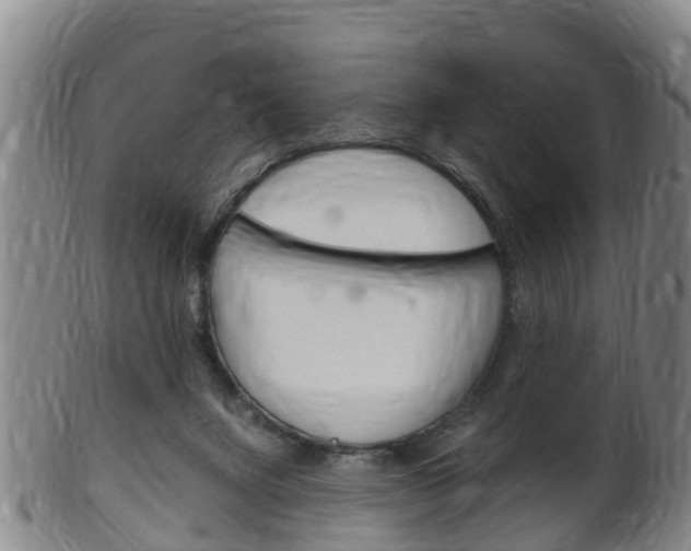 X0000102520072200808081039