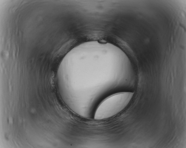 X0000102520073200808081039