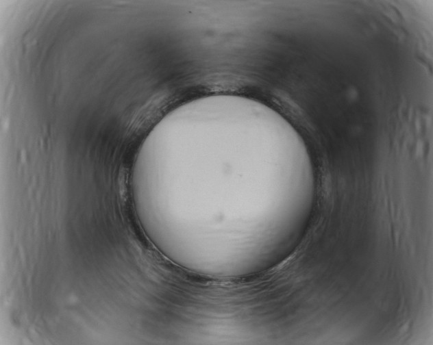 X0000102520074200808081039