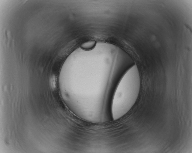 X0000102520075200808081039