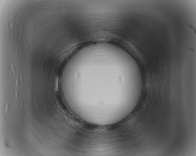 X0000102520076200808081039