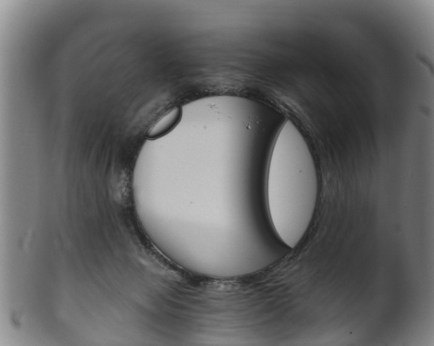 X0000102520077200808081039