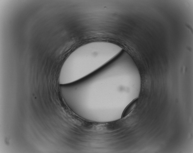 X0000102520078200808081039