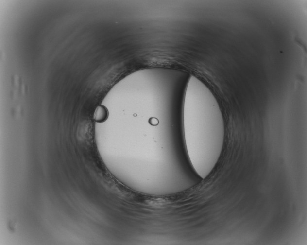 X0000102520079200808081039