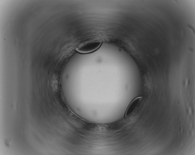 X0000102520080200808081039