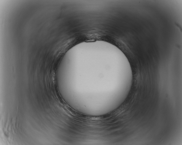 X0000102520081200808081039