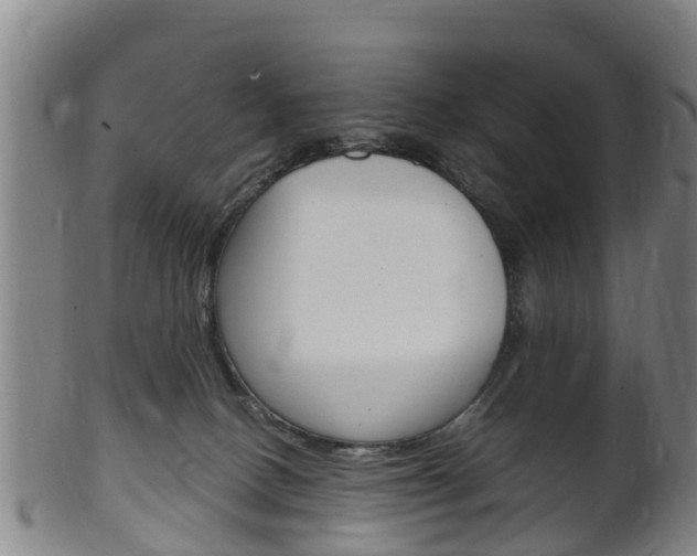 X0000102520082200808081039