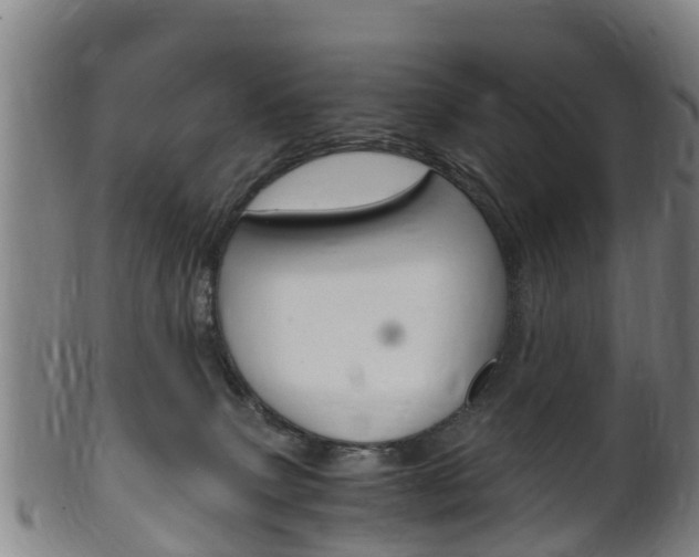 X0000102520083200808081039