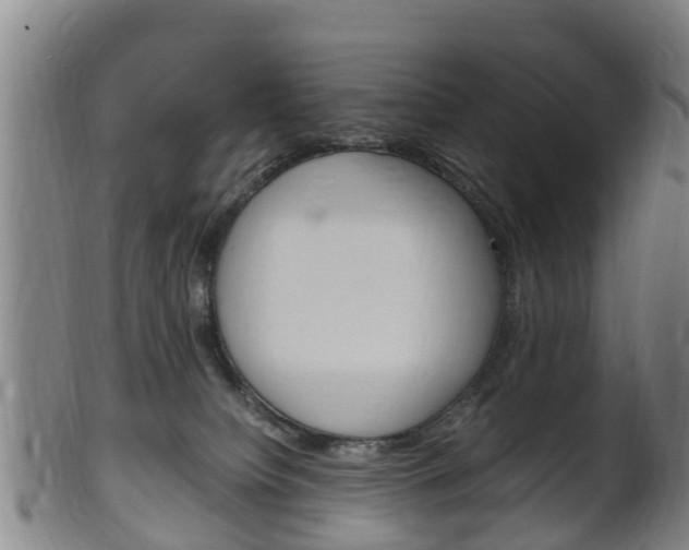 X0000102520084200808081039