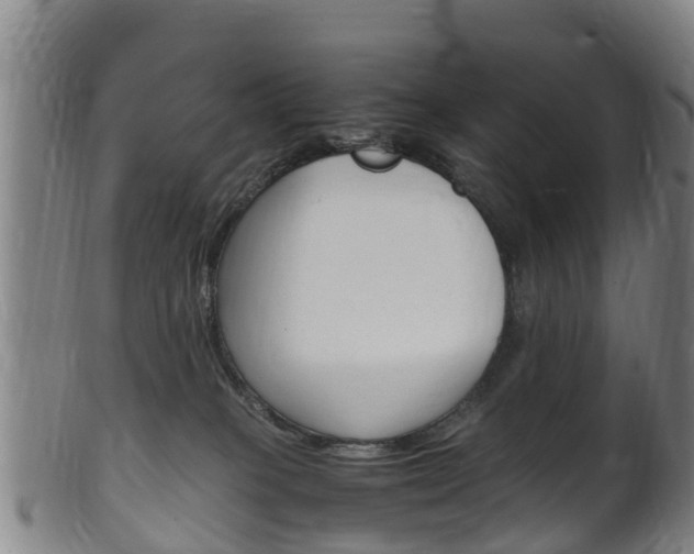 X0000102520085200808081039