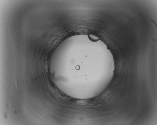 X0000102520088200808081039