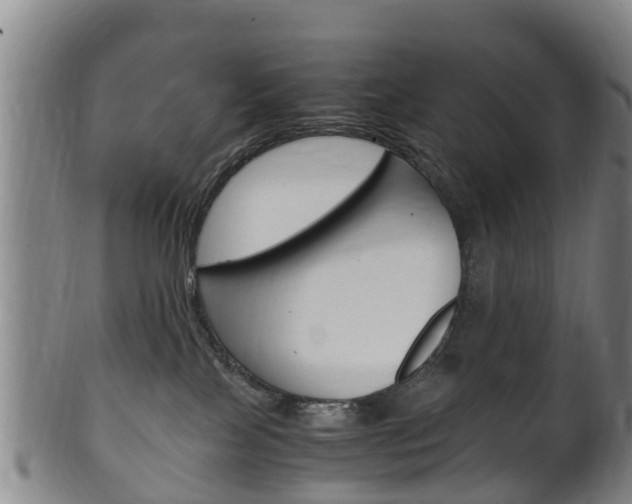 X0000102520089200808081039