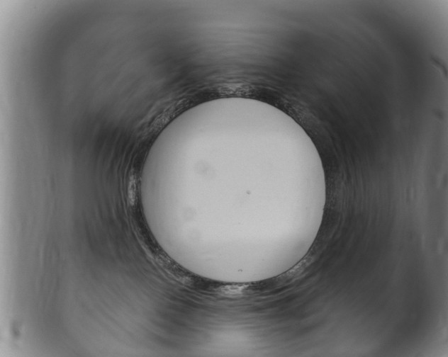 X0000102520090200808081039