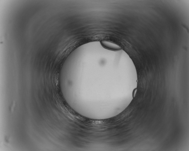 X0000102520091200808081039